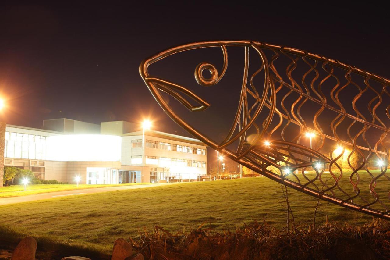 Causeway Holiday Homes Coleraine Dış mekan fotoğraf